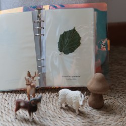 L'herbier des enfants - herbier pédagogique