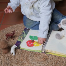L'herbier des enfants - herbier pédagogique