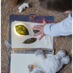 L'herbier des enfants - herbier pédagogique