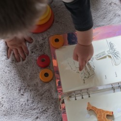 L'herbier des enfants - herbier pédagogique