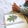L'herbier des enfants - herbier pédagogique